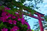 亀戸天神社(東京都)
