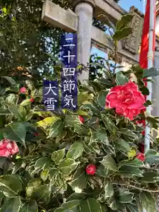 御嶽神社茅萱宮(岐阜県)(2025年12月07日(日) 09時14分55秒投稿)
