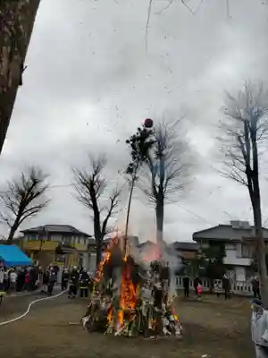 青柳稲荷神社のお祭り