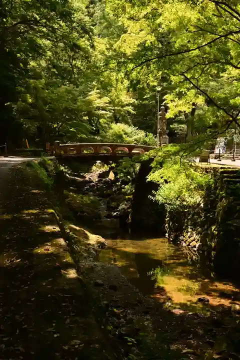 鰐淵寺(島根県)