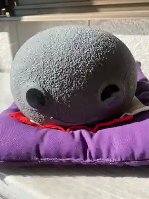 田間神社の{uncategorized: "未分類", other: "その他", undefined: "問題あり", building: "その他建物", grave: "お墓", sacred_gate: "鳥居", guardian: "狛犬", statue: "像", buddha: "仏像", history: "歴史", nature: "自然", garden: "庭園", animal: "動物", pagoda: "塔", temizu: "手水舎", mountain_gate: "山門・神門", sanctuary: "本殿・本堂", subordinate: "末社・摂社", art: "芸術", scenery: "景色", jizo: "地蔵", ema: "絵馬", goshuin: "御朱印", omikuji: "おみくじ", items: "授与品その他", amulet: "お守り", goshuincho: "御朱印帳", eats: "食事", festival: "お祭り", votive_dance: "神楽", shichigosan: "七五三参", wedding: "結婚式", experience: "体験その他", initially: "初詣", around: "周辺", anti_infection: "感染症対策"}