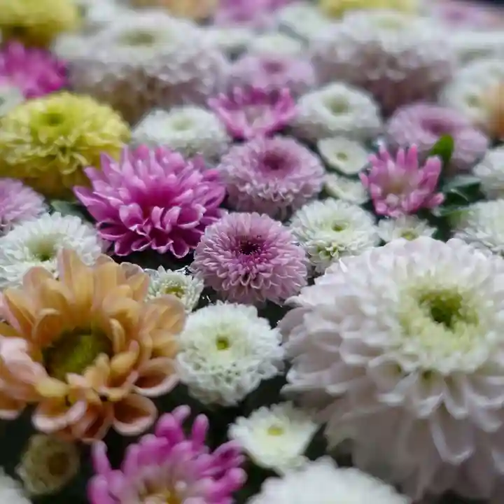 帯廣神社の手水舎