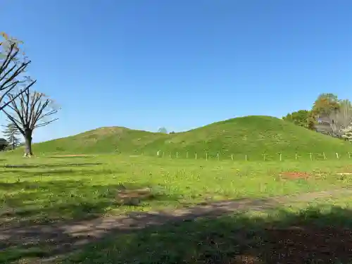 前玉神社の{uncategorized: "未分類", other: "その他", undefined: "問題あり", building: "その他建物", grave: "お墓", sacred_gate: "鳥居", guardian: "狛犬", statue: "像", buddha: "仏像", history: "歴史", nature: "自然", garden: "庭園", animal: "動物", pagoda: "塔", temizu: "手水舎", mountain_gate: "山門・神門", sanctuary: "本殿・本堂", subordinate: "末社・摂社", art: "芸術", scenery: "景色", jizo: "地蔵", ema: "絵馬", goshuin: "御朱印", omikuji: "おみくじ", items: "授与品その他", amulet: "お守り", goshuincho: "御朱印帳", eats: "食事", festival: "お祭り", votive_dance: "神楽", shichigosan: "七五三参", wedding: "結婚式", experience: "体験その他", initially: "初詣", around: "周辺", anti_infection: "感染症対策"}