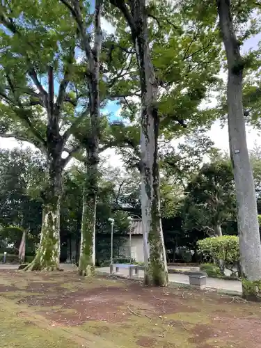 安養院(東京都)
