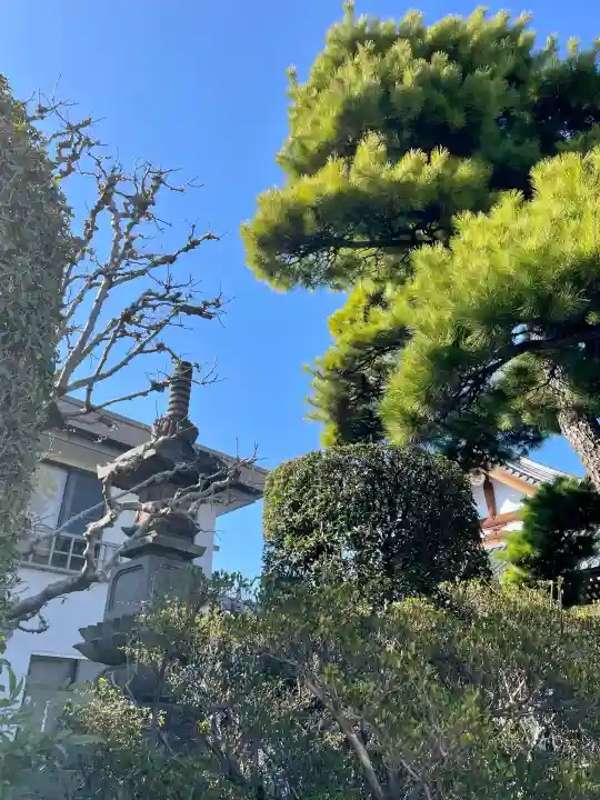 善応寺の{uncategorized: "未分類", other: "その他", undefined: "問題あり", building: "その他建物", grave: "お墓", sacred_gate: "鳥居", guardian: "狛犬", statue: "像", buddha: "仏像", history: "歴史", nature: "自然", garden: "庭園", animal: "動物", pagoda: "塔", temizu: "手水舎", mountain_gate: "山門・神門", sanctuary: "本殿・本堂", subordinate: "末社・摂社", art: "芸術", scenery: "景色", jizo: "地蔵", ema: "絵馬", goshuin: "御朱印", omikuji: "おみくじ", items: "授与品その他", amulet: "お守り", goshuincho: "御朱印帳", eats: "食事", festival: "お祭り", votive_dance: "神楽", shichigosan: "七五三参", wedding: "結婚式", experience: "体験その他", initially: "初詣", around: "周辺", anti_infection: "感染症対策"}