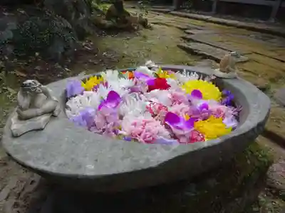 かっぱの寺 栖足寺の手水舎