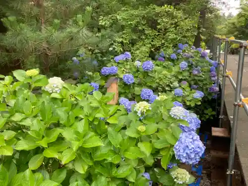 円覚寺(神奈川県)