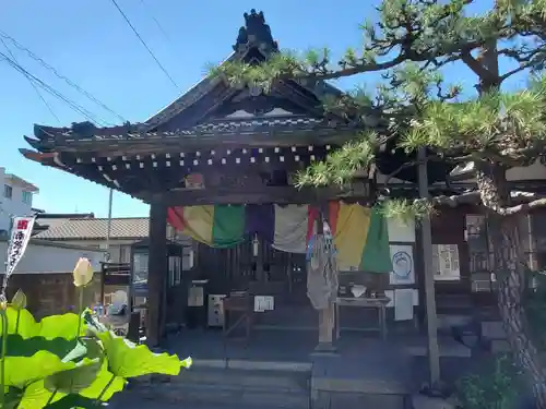 龍蔵寺のその他建物