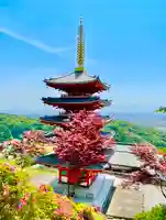 総本山 本福寺の景色