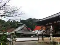 當麻寺(奈良県)