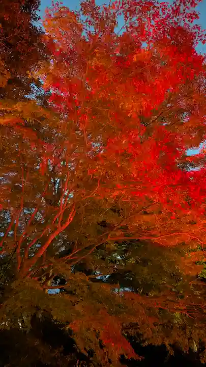 出雲大神宮(京都府)