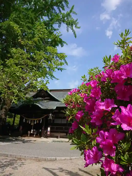 賀羅加波神社の本殿・本堂