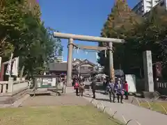 浅草神社の鳥居