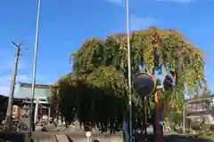 熊野福藏神社の自然