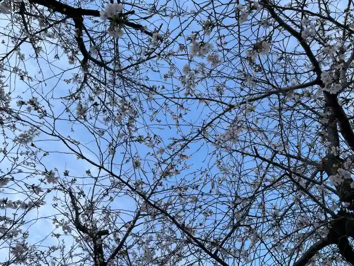 兵庫嚴島神社(兵庫県)