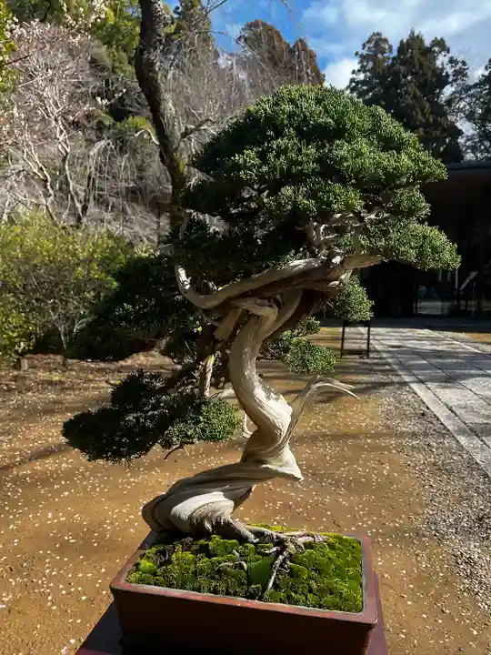 香取神宮(千葉県)