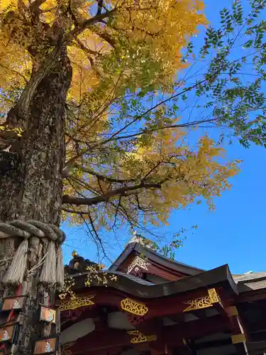 素盞雄神社(東京都)