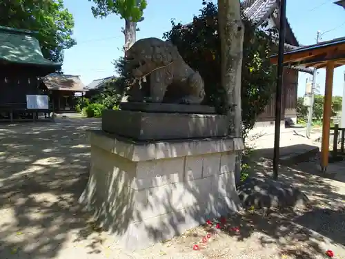 三島八幡神社の狛犬