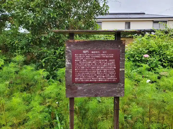 般若寺 ❁コスモス寺❁(奈良県)