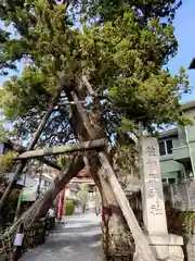 荏柄天神社(神奈川県)