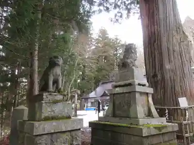 戸隠神社中社の狛犬