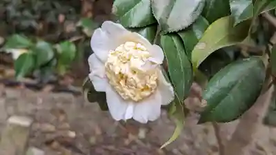 城南宮(京都府)