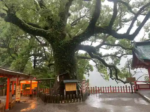 熊野那智大社(和歌山県)