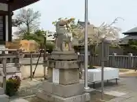 赤穂大石神社の{uncategorized: "未分類", other: "その他", undefined: "問題あり", building: "その他建物", grave: "お墓", sacred_gate: "鳥居", guardian: "狛犬", statue: "像", buddha: "仏像", history: "歴史", nature: "自然", garden: "庭園", animal: "動物", pagoda: "塔", temizu: "手水舎", mountain_gate: "山門・神門", sanctuary: "本殿・本堂", subordinate: "末社・摂社", art: "芸術", scenery: "景色", jizo: "地蔵", ema: "絵馬", goshuin: "御朱印", omikuji: "おみくじ", items: "授与品その他", amulet: "お守り", goshuincho: "御朱印帳", eats: "食事", festival: "お祭り", votive_dance: "神楽", shichigosan: "七五三参", wedding: "結婚式", experience: "体験その他", initially: "初詣", around: "周辺", anti_infection: "感染症対策"}