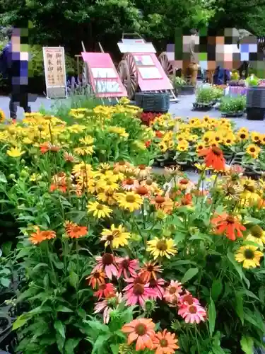 阿佐ヶ谷神明宮(東京都)