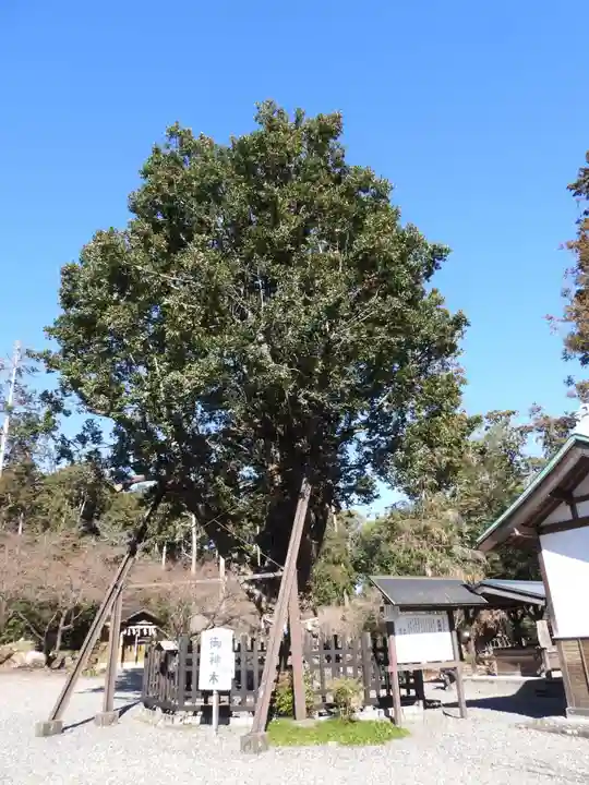天宮神社(静岡県)