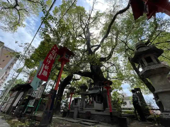 若一神社の自然