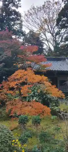 龍潭寺(静岡県)