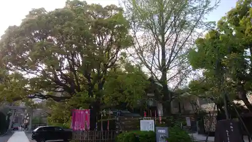 稲毛神社(神奈川県)