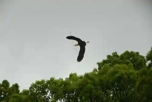 上領八幡宮(山口県)