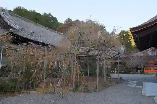 毘沙門堂門跡のその他建物