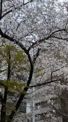 大将軍神社　東三條殿(京都府)