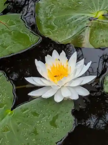 法華寺(岐阜県)