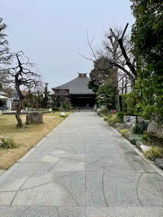 安国院の{uncategorized: "未分類", other: "その他", undefined: "問題あり", building: "その他建物", grave: "お墓", sacred_gate: "鳥居", guardian: "狛犬", statue: "像", buddha: "仏像", history: "歴史", nature: "自然", garden: "庭園", animal: "動物", pagoda: "塔", temizu: "手水舎", mountain_gate: "山門・神門", sanctuary: "本殿・本堂", subordinate: "末社・摂社", art: "芸術", scenery: "景色", jizo: "地蔵", ema: "絵馬", goshuin: "御朱印", omikuji: "おみくじ", items: "授与品その他", amulet: "お守り", goshuincho: "御朱印帳", eats: "食事", festival: "お祭り", votive_dance: "神楽", shichigosan: "七五三参", wedding: "結婚式", experience: "体験その他", initially: "初詣", around: "周辺", anti_infection: "感染症対策"}