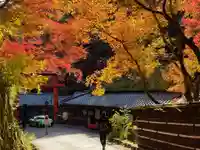 化野念仏寺(京都府)