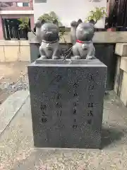 今戸神社の狛犬