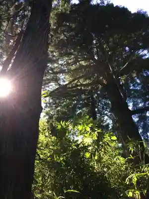 六座神社の周辺