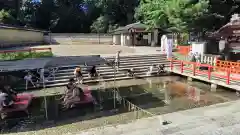 賀茂御祖神社（下鴨神社）(京都府)