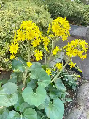 済海寺(東京都)