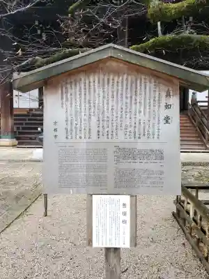 真正極楽寺（真如堂）の{uncategorized: "未分類", other: "その他", undefined: "問題あり", building: "その他建物", grave: "お墓", sacred_gate: "鳥居", guardian: "狛犬", statue: "像", buddha: "仏像", history: "歴史", nature: "自然", garden: "庭園", animal: "動物", pagoda: "塔", temizu: "手水舎", mountain_gate: "山門・神門", sanctuary: "本殿・本堂", subordinate: "末社・摂社", art: "芸術", scenery: "景色", jizo: "地蔵", ema: "絵馬", goshuin: "御朱印", omikuji: "おみくじ", items: "授与品その他", amulet: "お守り", goshuincho: "御朱印帳", eats: "食事", festival: "お祭り", votive_dance: "神楽", shichigosan: "七五三参", wedding: "結婚式", experience: "体験その他", initially: "初詣", around: "周辺", anti_infection: "感染症対策"}