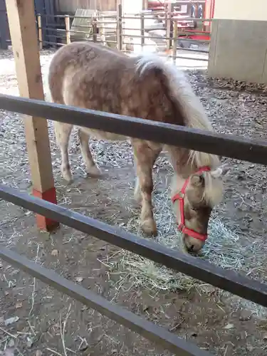 平塚八幡宮(神奈川県)