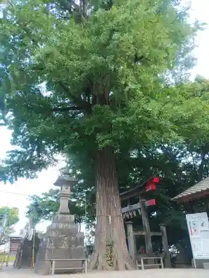 下総国三山　二宮神社(千葉県)