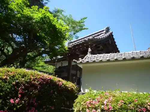 宝珠院の山門