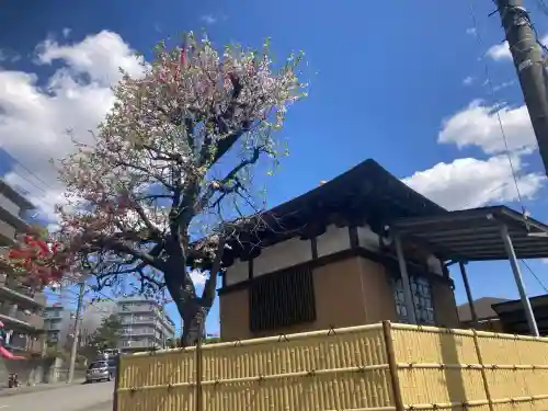 土橋観音堂(神奈川県)