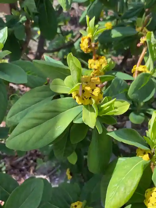 八事山 興正寺(愛知県)