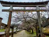 神魂神社の鳥居